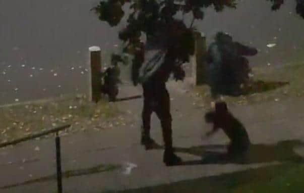 The man with the ginger dog, which appears to be about the size of a labrador, is wearing dark clothing and can be heard shouting at his pet during the incident.