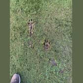 A landowner has been left shocked after he spotted massive footprints at his private golf course at the edge of Peak District, where dog owners have no access to.