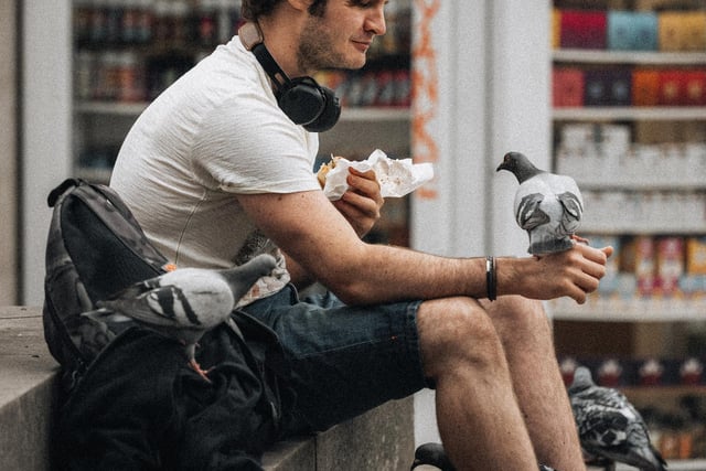 A pigeon appears to be eyeing up this man's lunch in Sheffield city centre