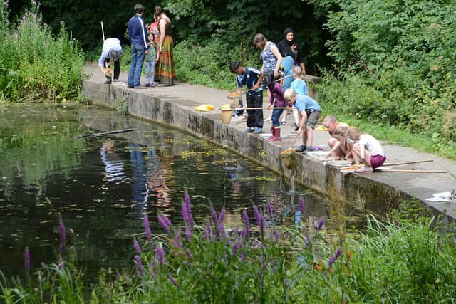 Pond dipping at Crabtree Ponds