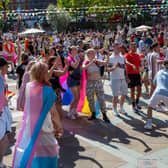 LGBT+ Sheffield is once again hosting Pinknic to bring together the LGBTQ+ community and their allies.