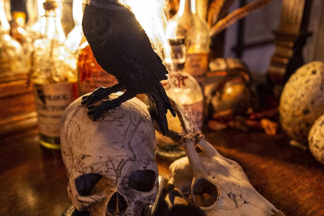 An evil raven sits atop a scary skull.