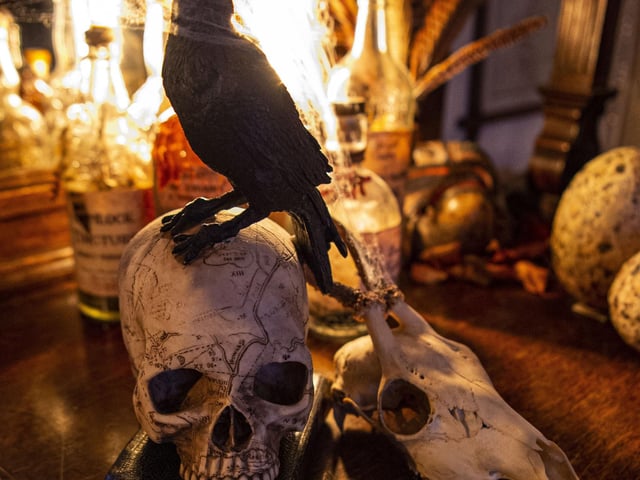 An evil raven sits atop a scary skull.