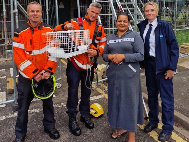 Murka that cat safely back down to earth after a rescue