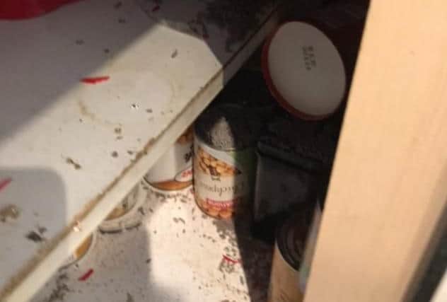 Rat droppings in Penny's kitchen cupboards