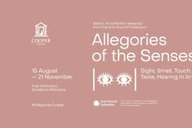 Allegories of the Senses at Cooper Gallery from Saturday, August 15