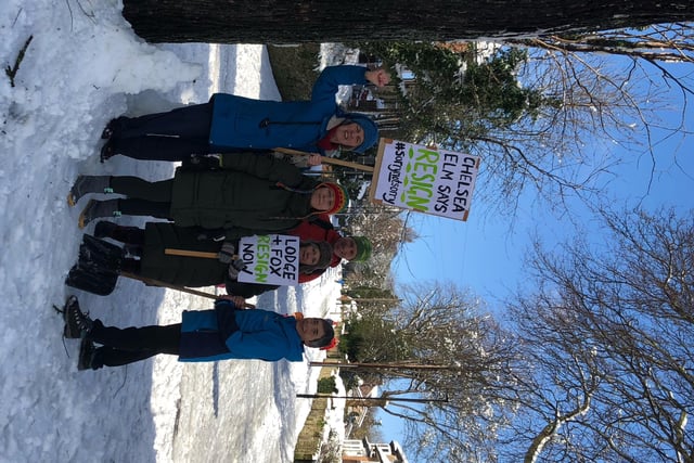 Some of the tree campaigners with one of the trees in today's snow
