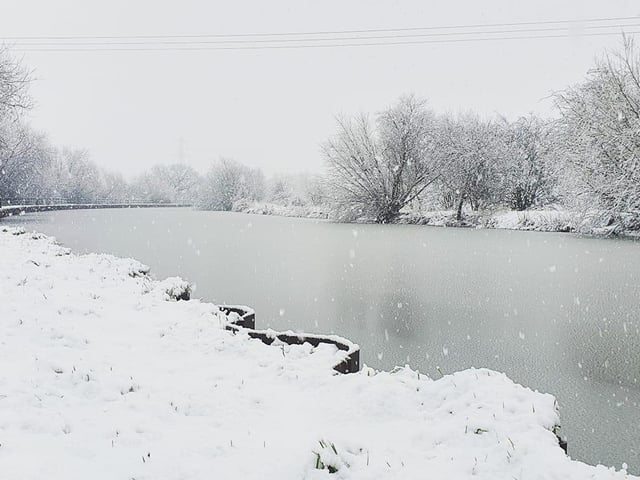 A frozen landscape in Barbny Dunn sent in by Rodge Annis.