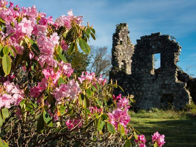 The ruins of a medieval 16th century castle sit on the estate.