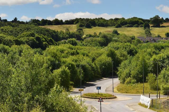 Owlthorpe Fields in Sheffield, which are now set to be protected from housing development following a four-year campaign by Owlthorpe Action Group