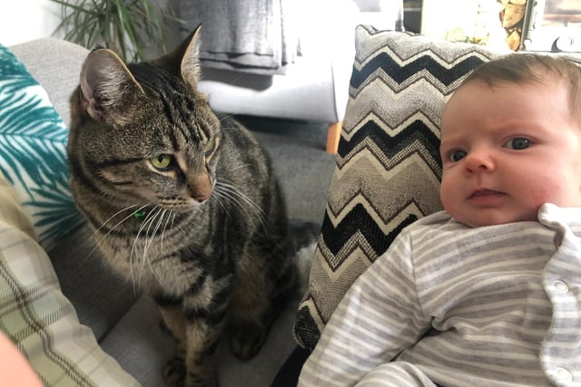 Leo the cat who has been helping mum, and Star journalist, Ellen Beardmore look after baby Emilia Rose.