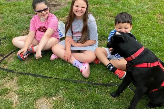 The siblings are training with their assistance dog