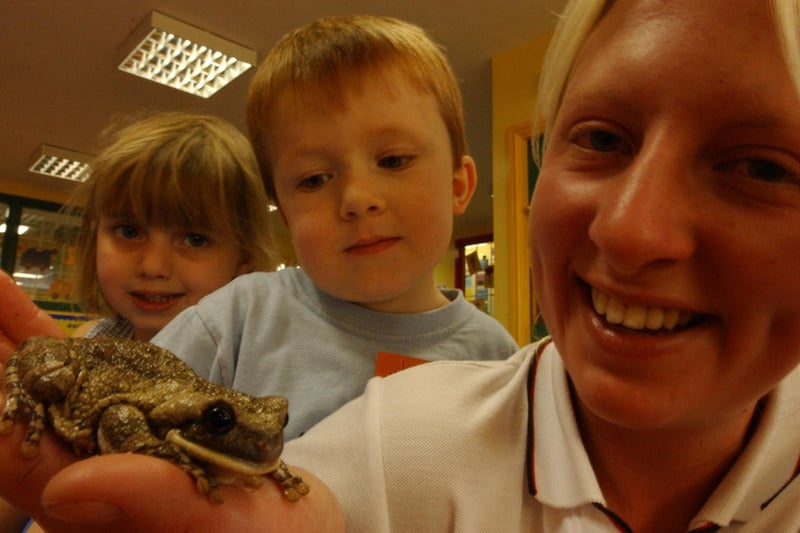 Becky Jackson from Zoolab showed pupils Kate Gordon and Elliott Gardener a peppered tree frog when she visited the Just Learning Nursery in Cleadon in 2003.