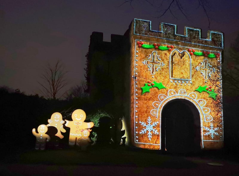 This year's light trail at The Alnwick Garden has been extended and will be shining brightly from November 29 – January 2. Numbers for each evening have been reduced to ensure people feel safe. SEN nights will also take place. The biggest trail of its kind in the region, it will feature 3D projections, augmented reality holograms and more. 
Seasonal events are not included in the standard entry and need to be booked in advance at alnwickgarden.com