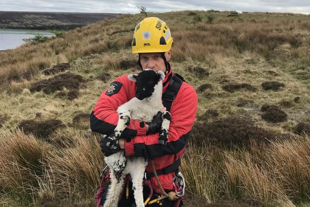 South Yorkshire's Fire and Rescue Rope Team were called to the scene after the public reported a lamb was in trouble.