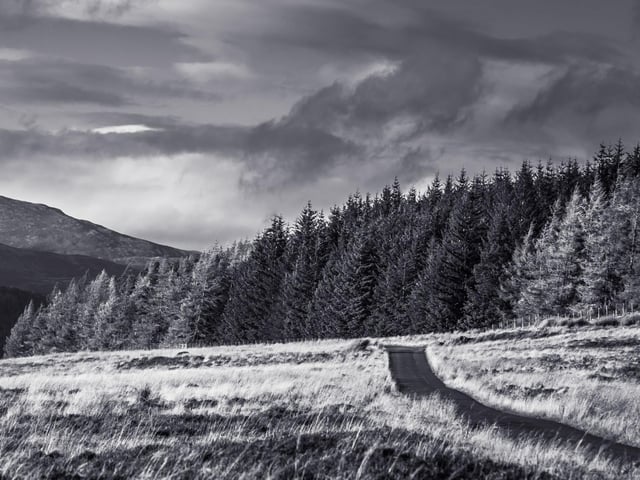 Perth and Kinross sneaks into the top 10 with 57 sightings. There have been reports of sobbing coming from empty guest bedrooms at a local hotel.