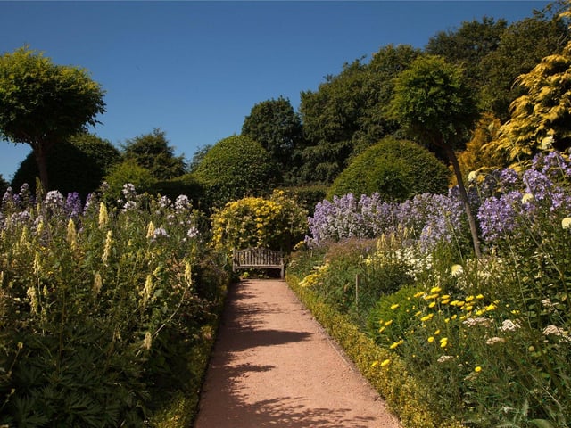 Garden.