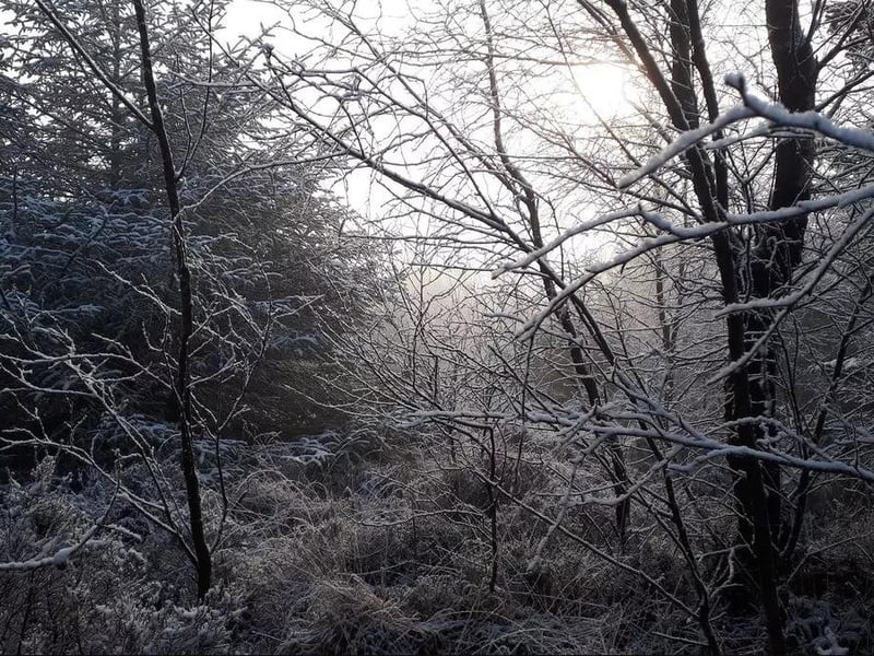 There's many trails available for all abilities in Gisburn Forest, as well as places to hire traditional and e-bikes.
Family cycle routes take in plenty of wildlife and fauna and Rathmell Horse Farm and Stocks Reservoir & Fishery are both nearby.