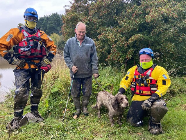 There was widespread relief as Bob made it to shore safely.