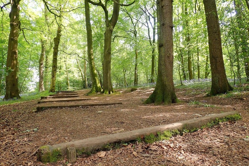 Whippendell Wood was used as the location for the Gungan Forest in Star Wars Episode One: The Phantom Menace, released in 1999. The woods doubled as a forest on the planet of Naboo, whose inhabitants live underwater. The ancient woodland is found on the edges of Watford, and is open to the public to explore.