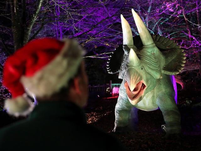 Visitors to Blair Drummond Safari Park near Stirling, Scotland, enjoy the illuminations installed in the Safari Park's new 'World of Dinosaur' exhibit.