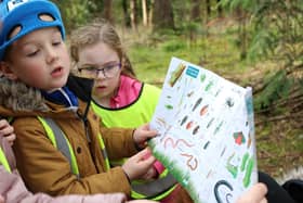 Primary and secondary schools offered grants by the Field Studies Council to support outdoor learning.