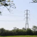 Buying a home near an electricity pylon needn't be a deal-breaker, but experts say careful research could prevent costly surprises further down the line.