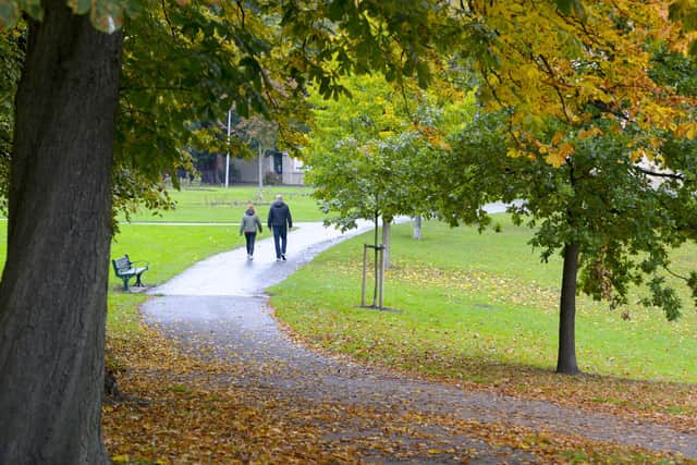 Hillsborough Park is turning Autumnal as we head through October