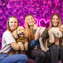 Get adorable professional photos taken with your four-legged friend at Pup Up Cafe's event in Sheffield this summer.