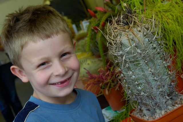 Tyler Jones, six, from Scarborough getting close to nature near one of the cacti on display at the 54th annual cactus show in the Botanical Gardens in May 2009