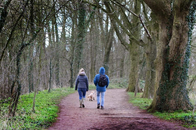 Wander in the wonderful parkland surrounding stunning Hardwick Hall.. There are walks to suit all abilities, including a gentle stroll along Lady Diana's Walk and routes suitable for wheelchairs.  Download a map from www.nationaltrust.org.uk