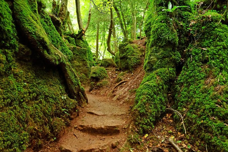 Puzzlewood, in Coleford, provided the backdrop for where Rey first encounters Kylo Ren. Star Wars Producer and President of Lucasfilm, Kathleen Kennedy, described Puzzlewood as “the most magical forest on the face of the earth”. The forest has also appeared in the likes of Harry potter and the Deathly Hallows, Jack the Giant Slayer and in all five seasons of BBC programme Merlin.