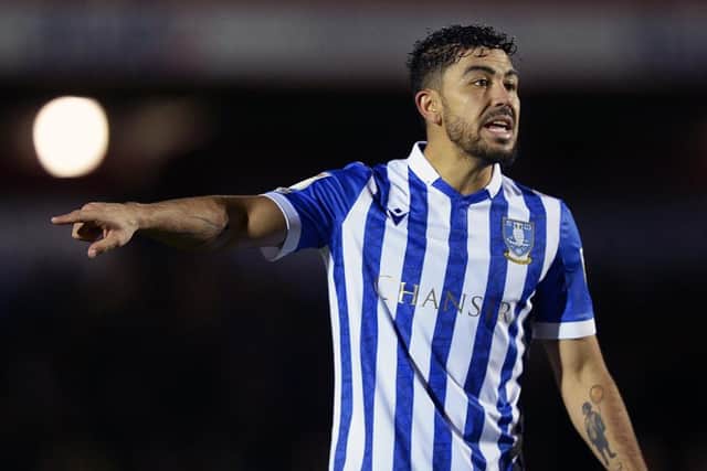 Massimo Luongo's Sheffield Wednesday contract is up at the end of the season.