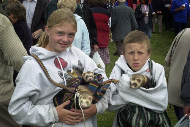 Rebecca York, aged 12 and Jack Edley, aged 9 with their ferrets in 2002