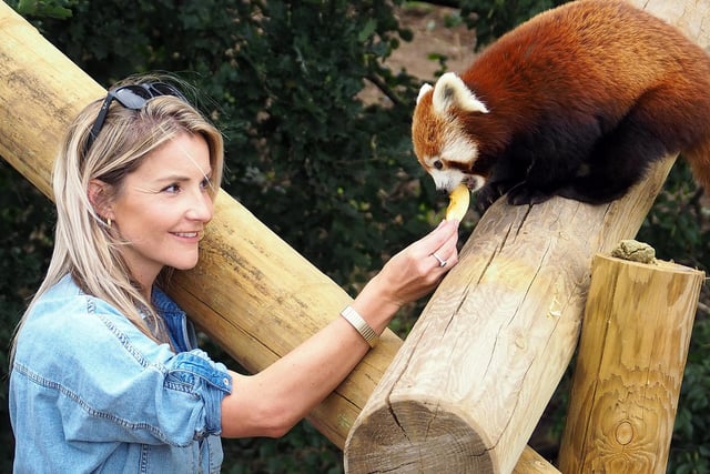 BBC Countryfile presenter Helen Skelton was able to get close to the animals as she previewed the park’s summer expansion at Yorkshire Wildlife Park.