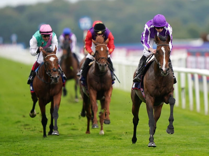 Seventh heaven: Ryan Moore and Continuous deny Frankie Dettori, left, on Arrest and Tom Marquand, right on Royal horse Desert Hero, to win a seventh Doncaster St Leger for trainer Aidan O'Brien.