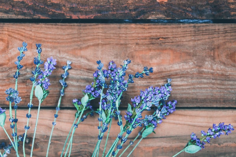 Lavender makes a great gift for a Gemini as its relaxing qualities balance out their social and energetic traits.