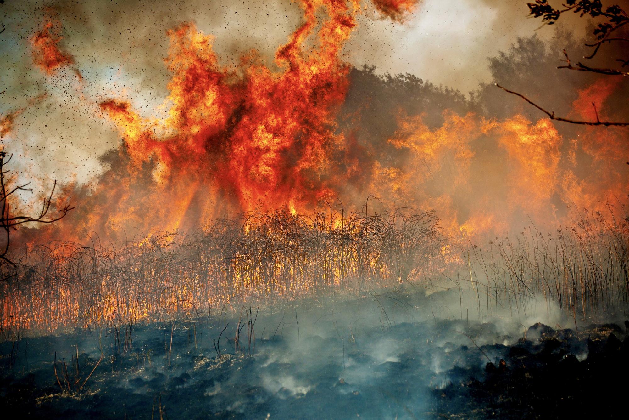 South Yorkshire fire chief calls on Government plan for wildfires after summer of blazes