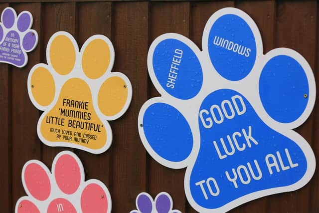 Staff and animals at Rain Rescue to help promote their paw print plaques they are offering this year to help them through the pandemic financially. Picture: Chris Etchells.