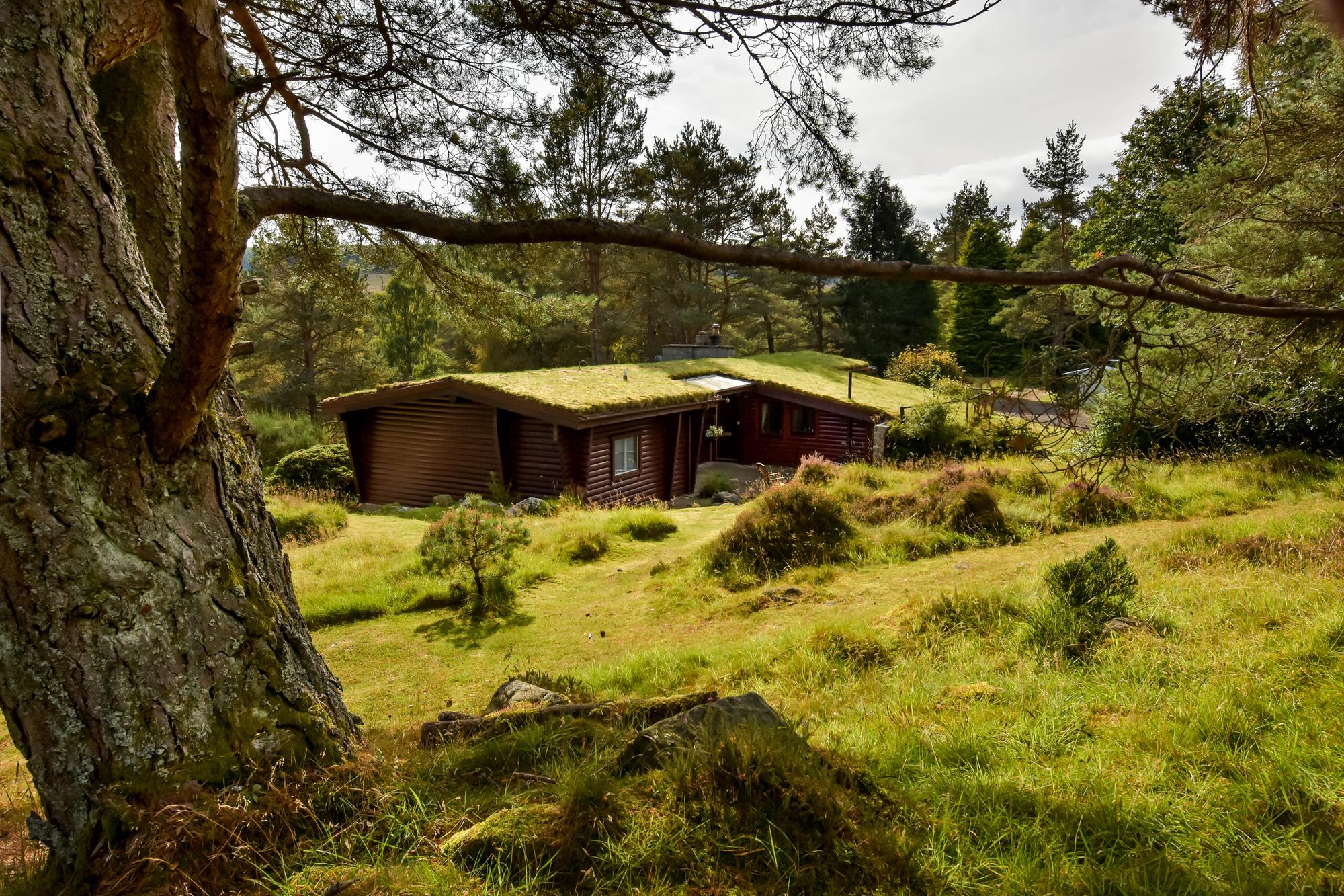 Rocksite is set in woodlands in Perthshire's Glen Derby, near Blairgowrie