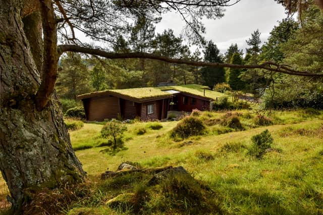 Rocksite is set in woodlands in Perthshire's Glen Derby, near Blairgowrie