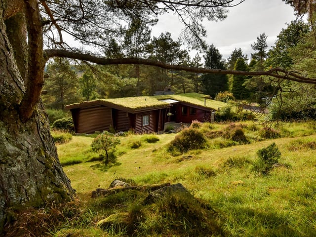 Rocksite is set in woodlands in Perthshire's Glen Derby, near Blairgowrie