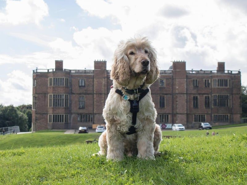 This stately circuit is a dream for dog walkers and those looking for that "stately home" aesthetic for their Instagram grid. The 6km perimeter bridle-path has enough gentle inclines to work through the heaviest of desserts, specifically that Christmas pudding and brandy butter.