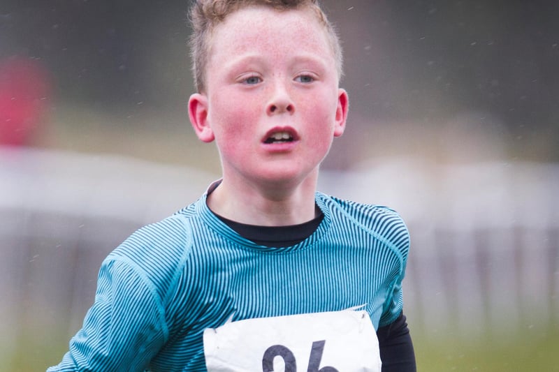 Harry Drysdale taking part in Teviotdale Harriers' cup races at Hawick Mair (Photo: Bill McBurnie)