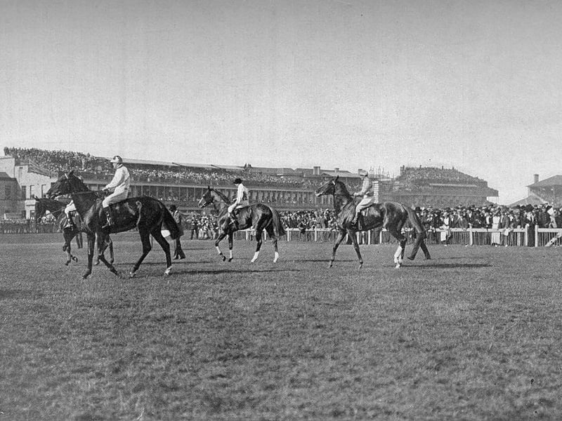 St. Leger Horses In Front of the Doncaster Stand' at Doncaster Racecourse in 1903.