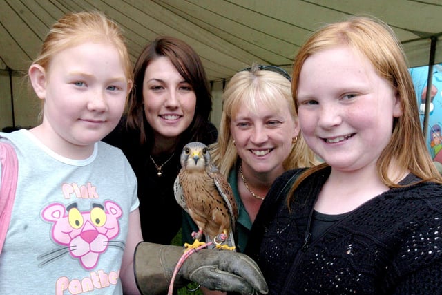 Amy Allin and Charlotte Moore pictured with a kestrel and Stephanie Thompson and Tracey Gibbon from the Ridgeside falconery