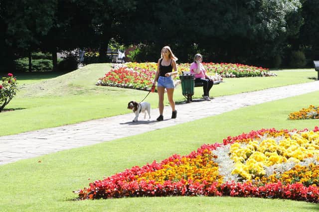Dog walkers enjoyed a day in the sun at The Canch
