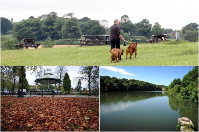 Is Holmebrook Valley Park or Linacre Reservoirs or Matlock's Hall Leys Park your favourite recreation area for exercise?