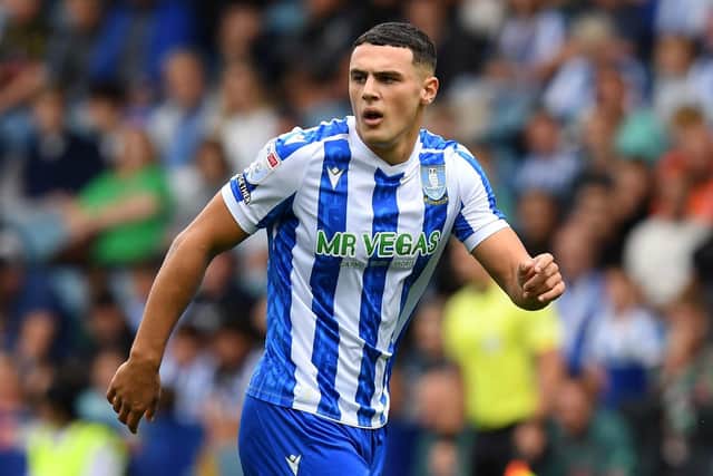 GROWING UP: Sheffield Wednesday striker Bailey Cadamarteri (Picture: Steve Ellis)