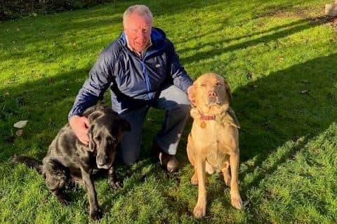 David Hobson with his two rescue labradors, Ted and Harry.
